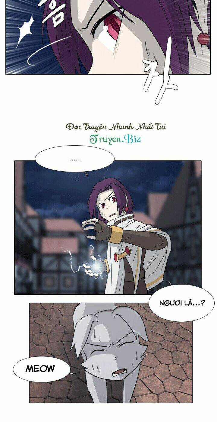 m. m. g. chapter 11 5