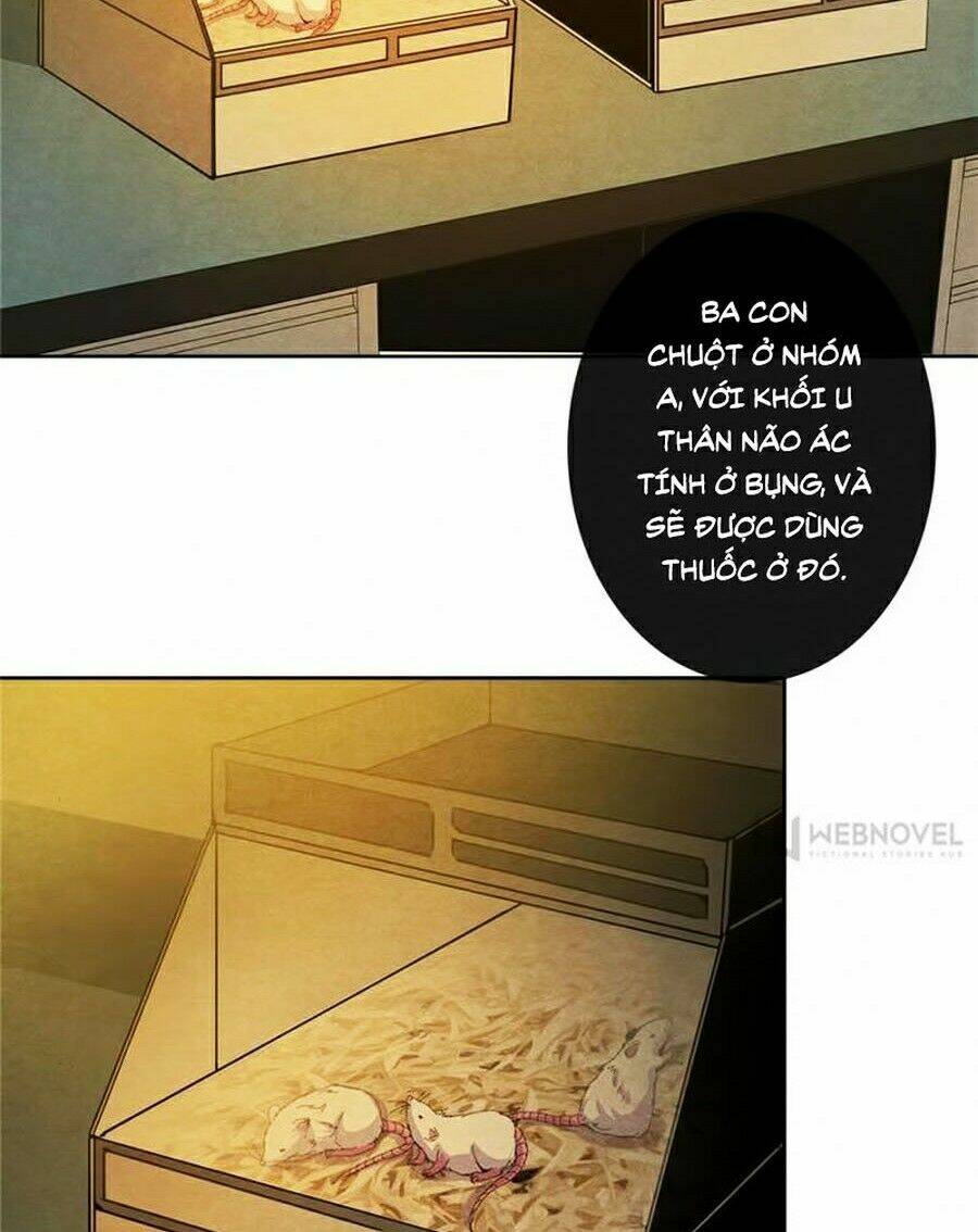 bác sĩ hỗn mang chapter 7 31