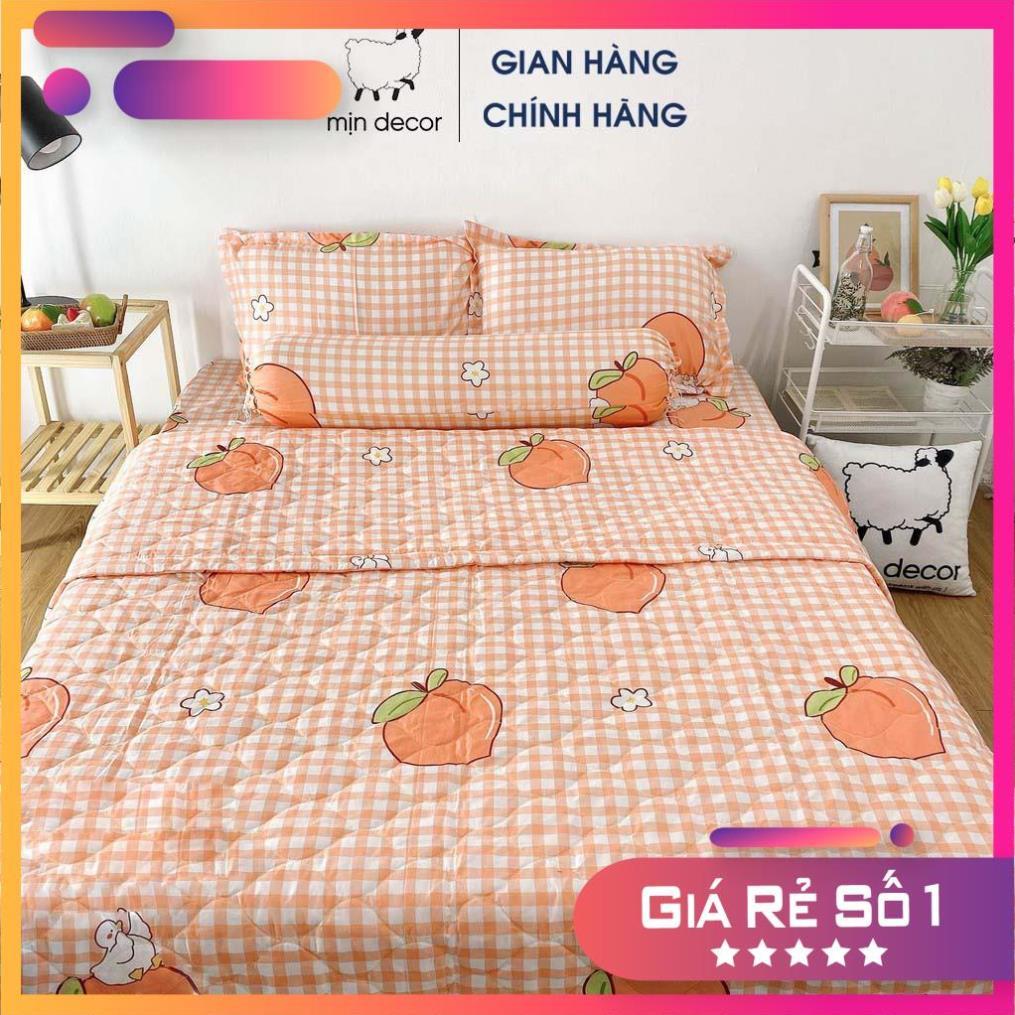Bộ chăn ga gối cotton 3D kèm chăn trần bông hè mềm mịn bo chun miễn phí