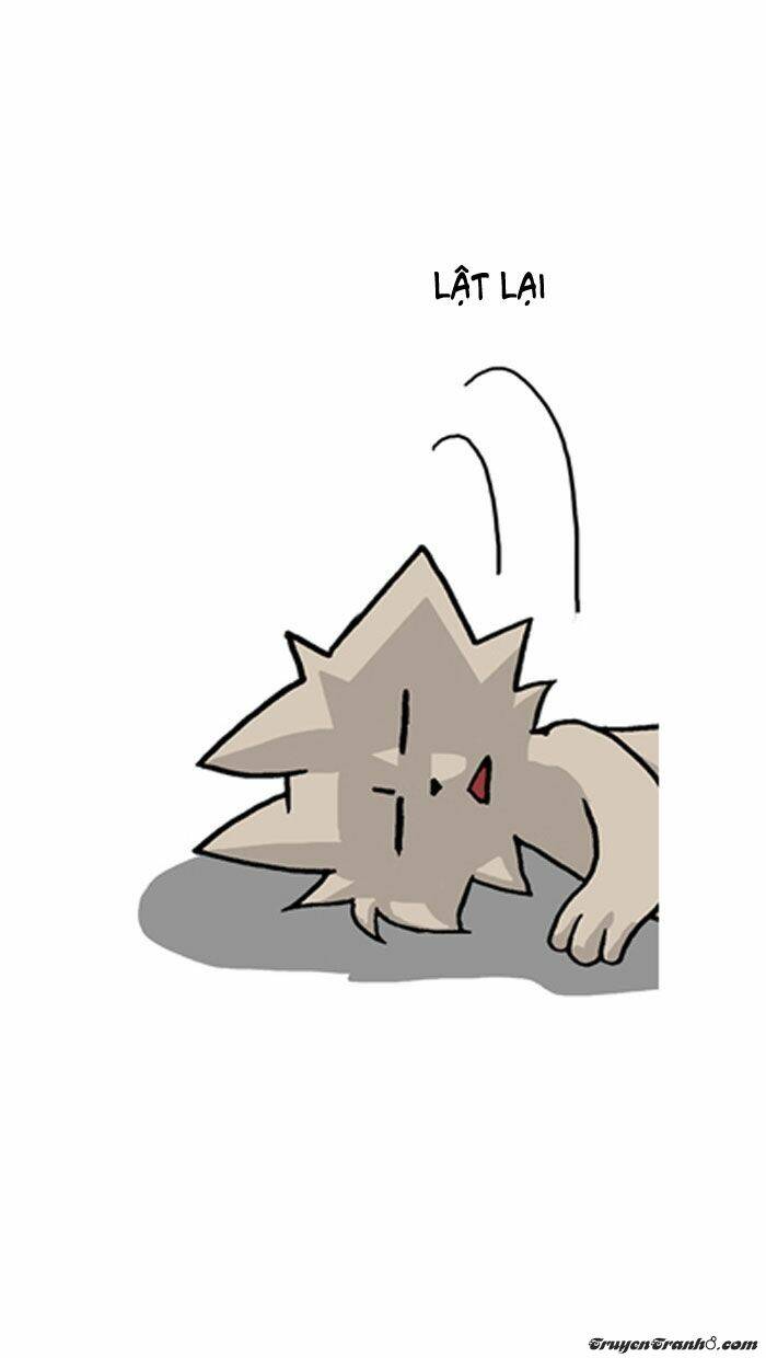 pigeonhole fantasia chapter 27 10