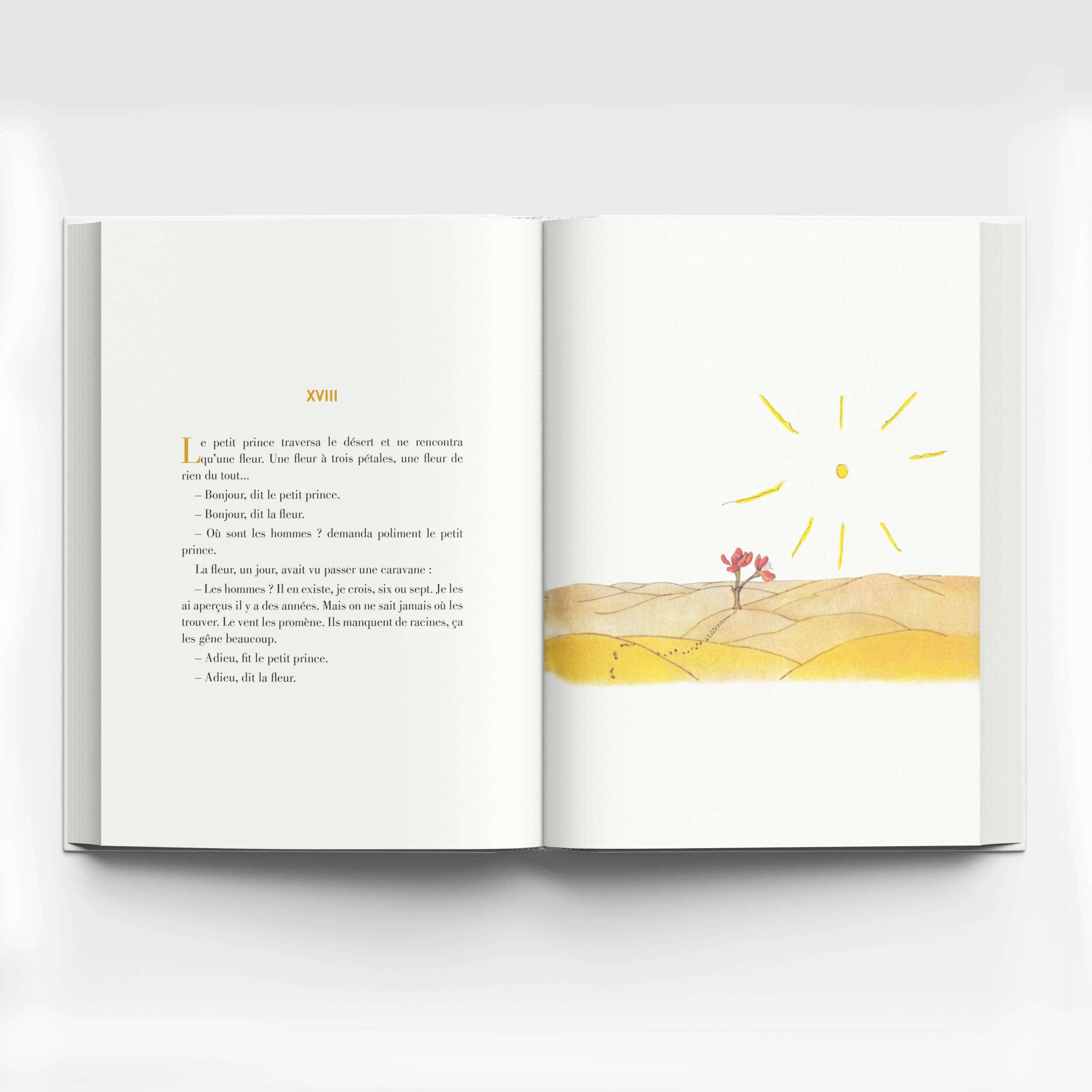 Hoàng Tử Bé - Le Petit Prince (Song Ngữ Việt - Pháp)