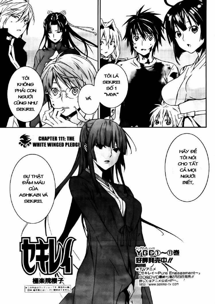 sekirei chapter 111 1