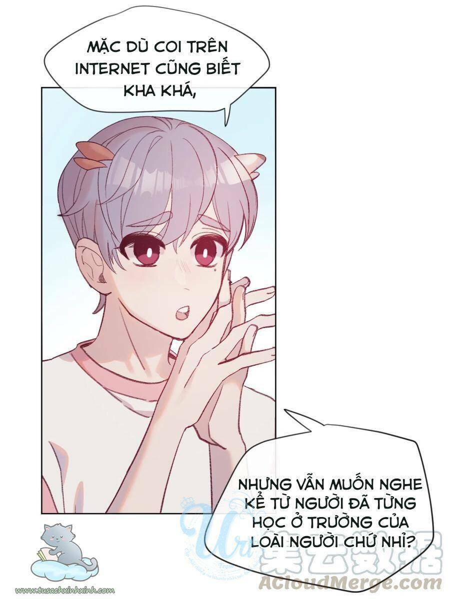 nhật ký nấm ma cô chapter 13 24