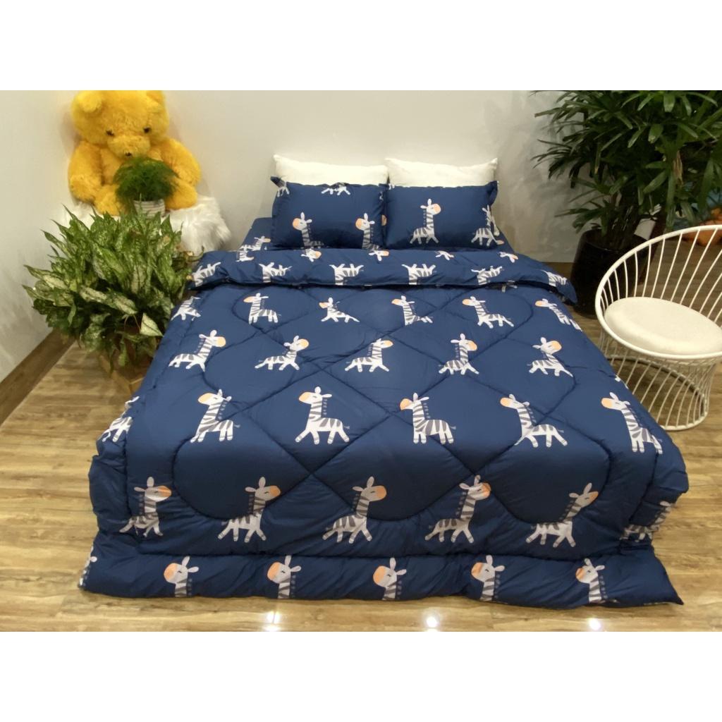 Set phao 5 món siêu rẻ