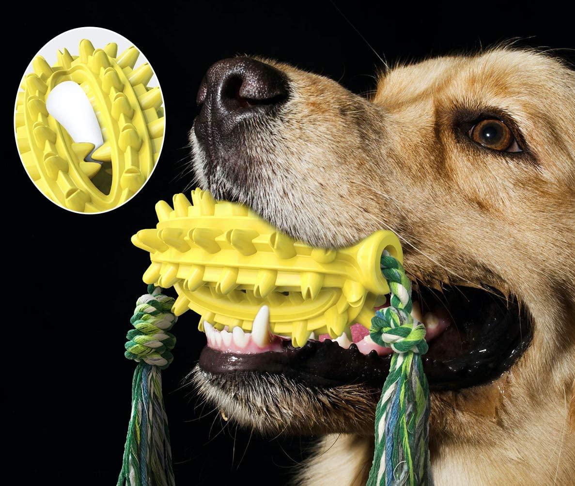 Đồ chơi nhai bàn chải đánh răng Tough Dog cho chó nhỏ vừa lớn, đồ chơi cho chó