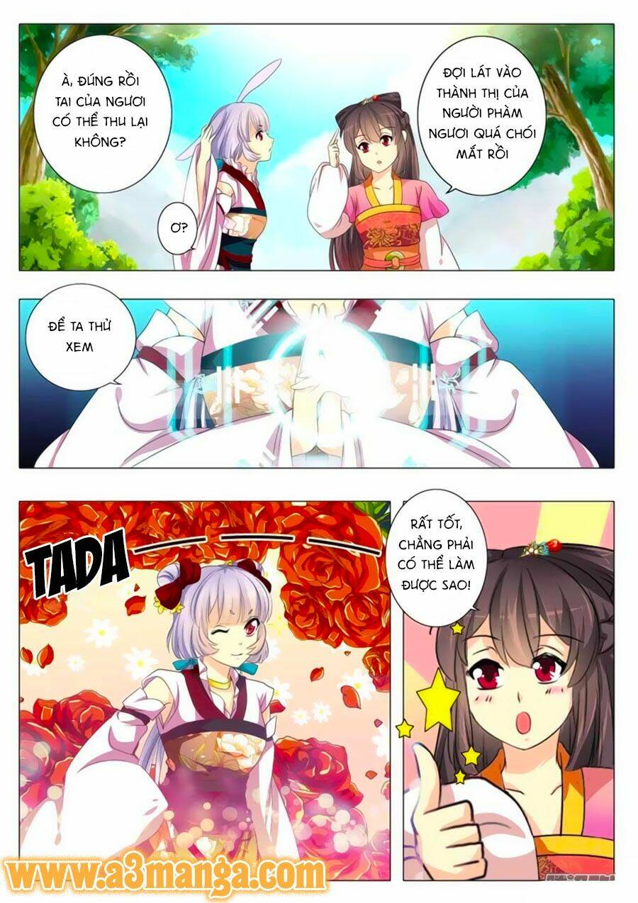 đống phù đã khai quang chapter 4 4