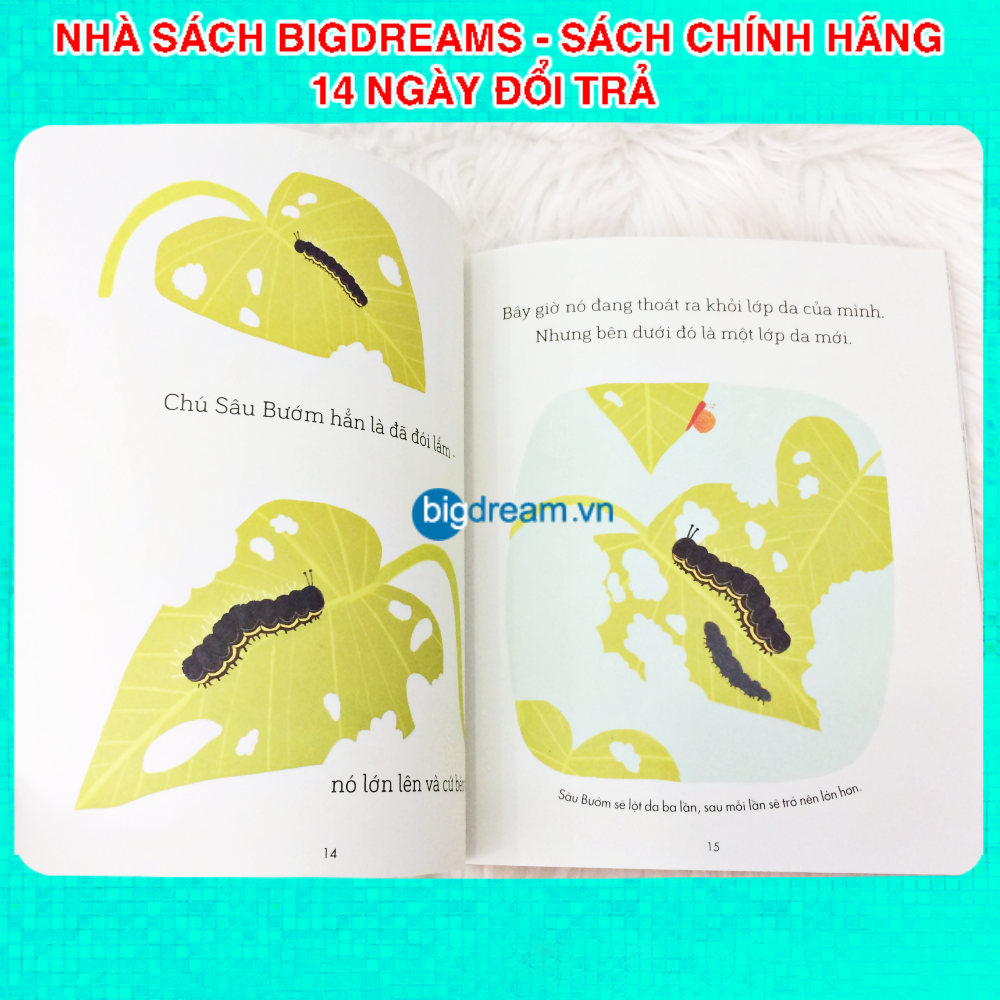 Sâu Bướm và Hạt Đậu - A Science Storybook About Growing Truyện kể cho bé trước giờ đi ngủ phát triển tư duy cho trẻ