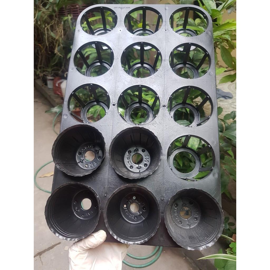 Combo 1 bộ 5 khay bao gồm cả chậu 2.5 inch đủ bộ trồng hồ điệp, Cat, kie con, cây giống