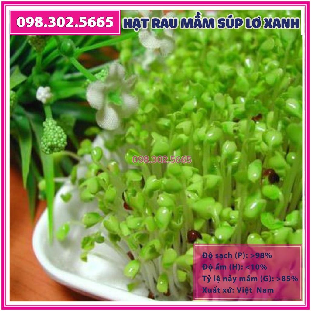 Hạt rau mầm rau súp lơ xanh - gói 20g - dễ nảy mầm, dễ chăm sóc