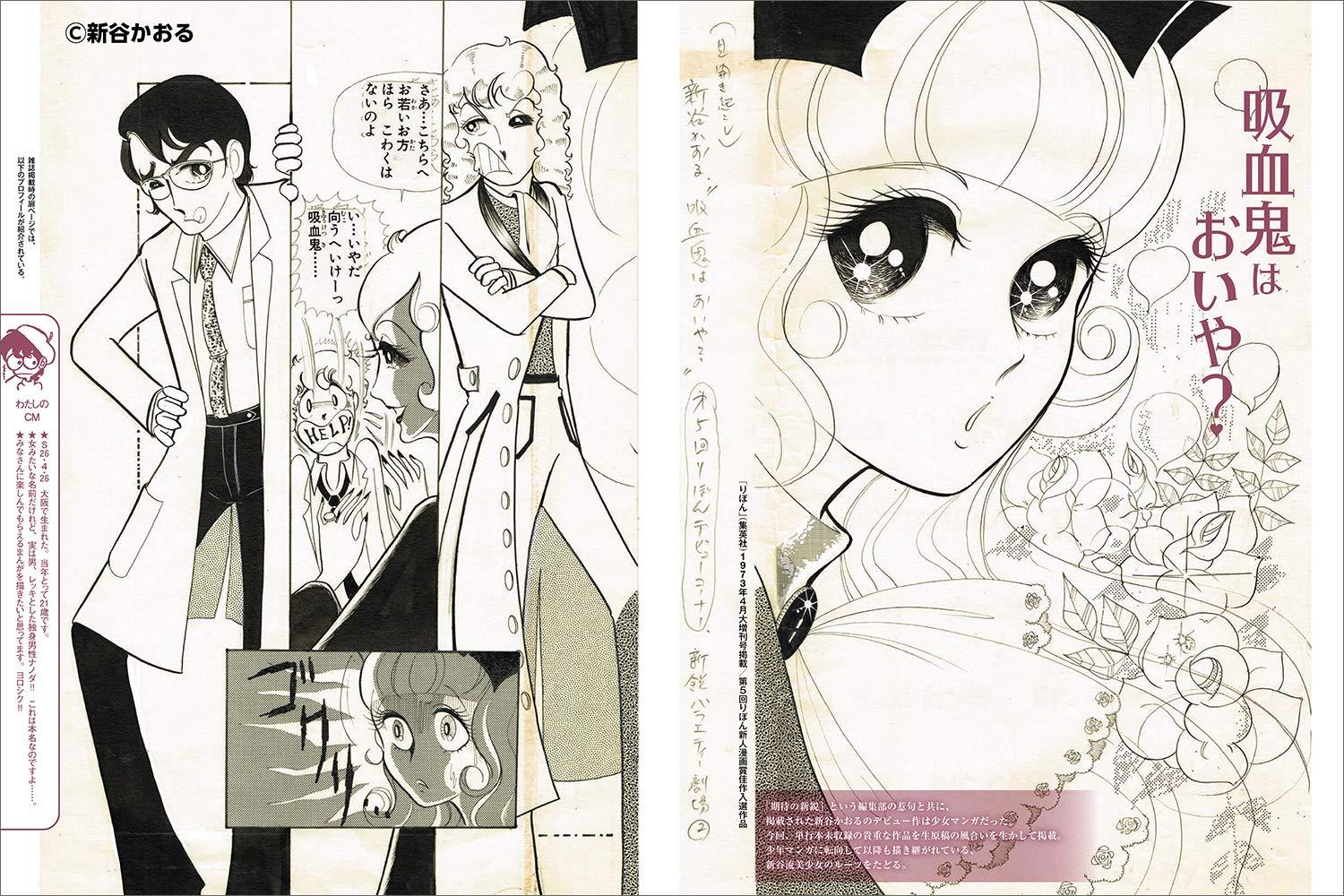 Sách ngoại văn: Kaoru Shintani Artworks - Fighter Aircraft to Bishojo (Japanese Edition)