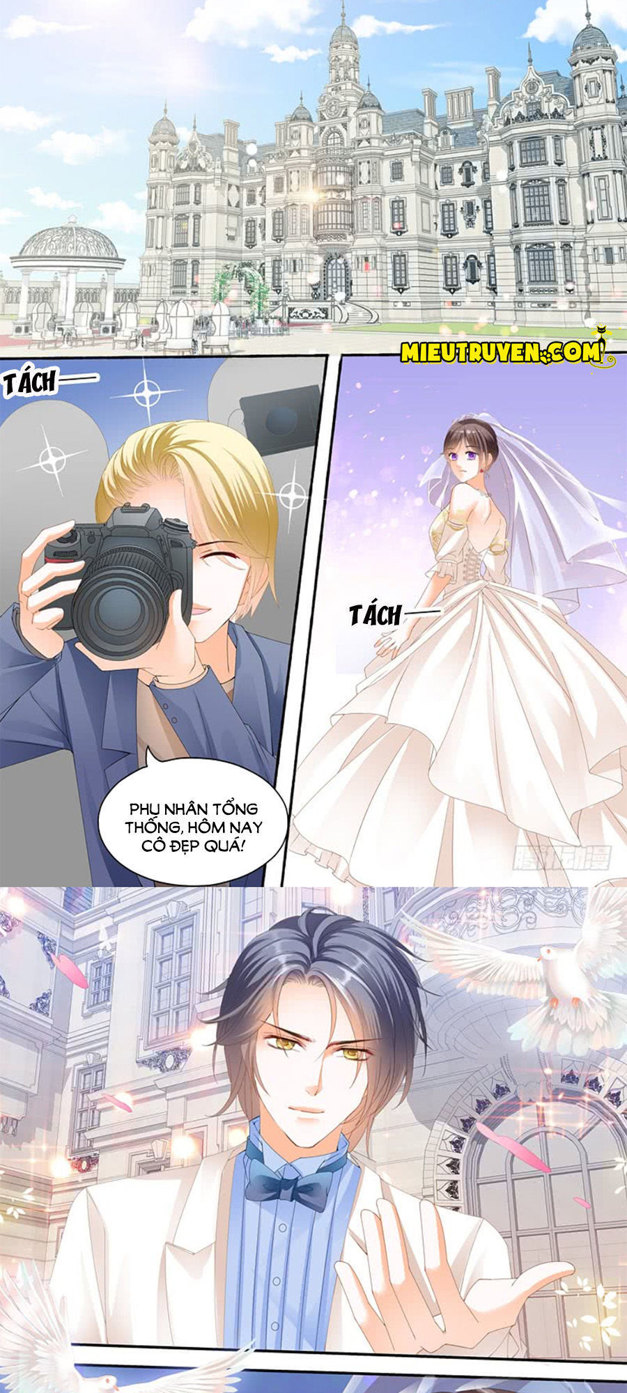 lóe thiểm hôn kiều thê mơ tưởng trốn chapter 214 10