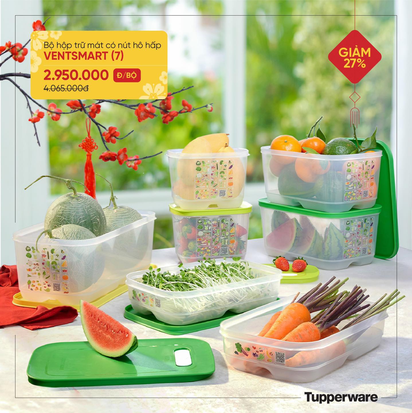 Bộ hộp trữ mát có nút hô hấp Ventsmart 7 hộp
