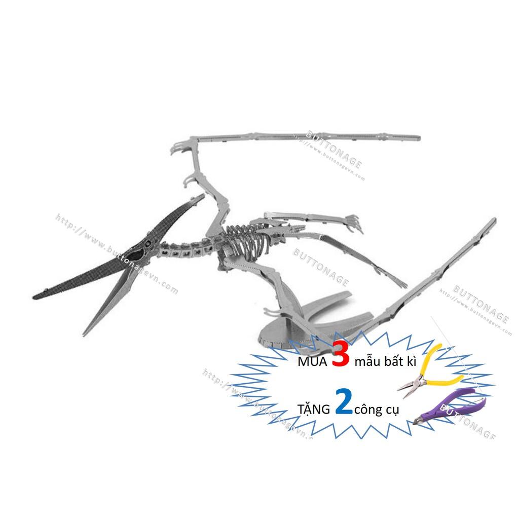 Mô Hình Lắp Ráp 3d Hóa Thạch Thằn Lằn Bay Pteranodon