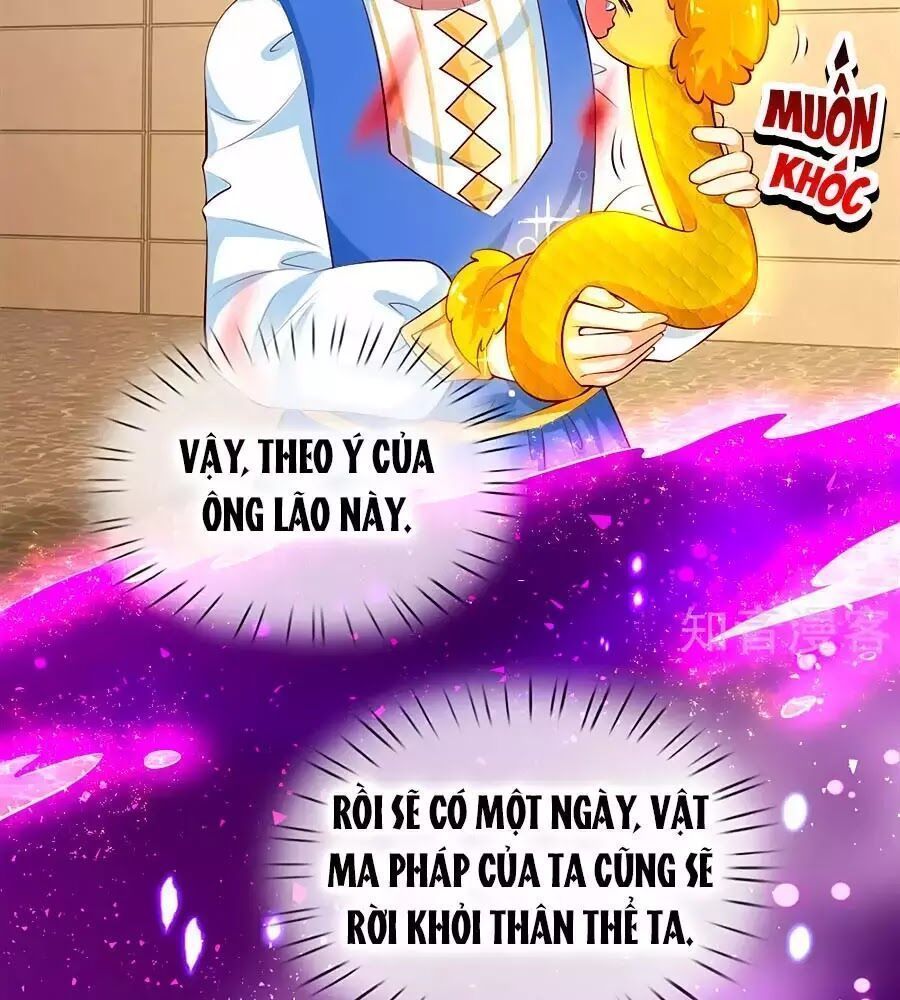 bỗng một ngày nọ trở thành con gái vua chapter 122 24