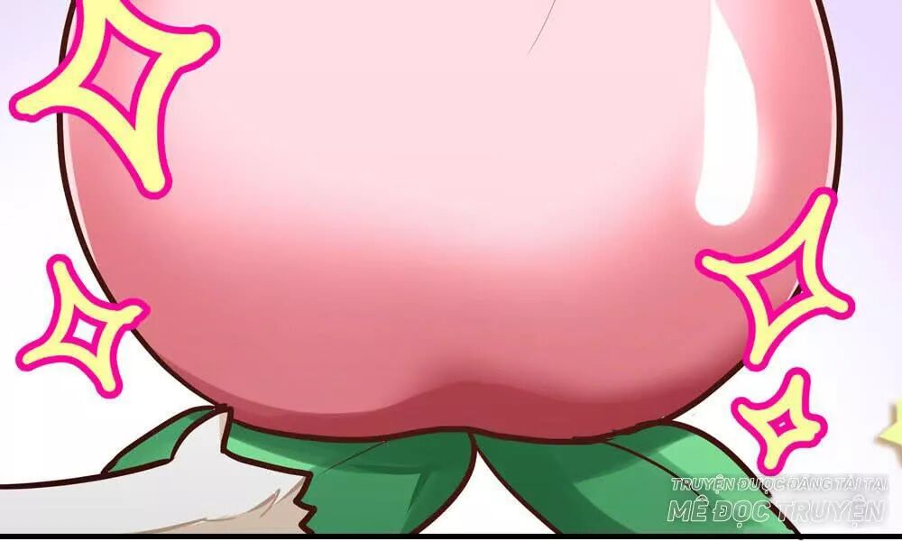 thái tử phi nhà ta thật hung hăng chapter 17 30