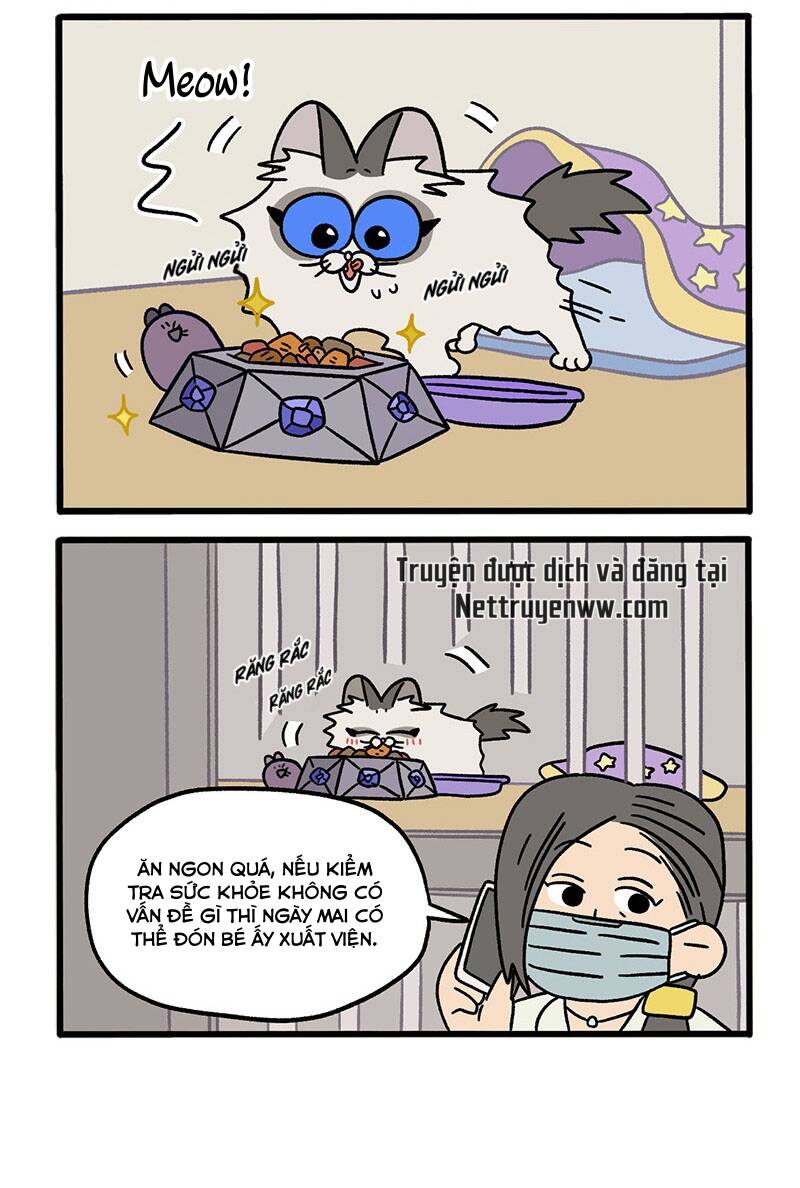 a mãn và mạch trà chapter 48.1 4