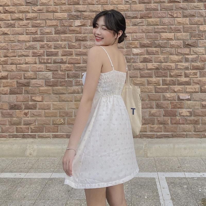 ĐẦM HAI DÂY HOA NHÍ