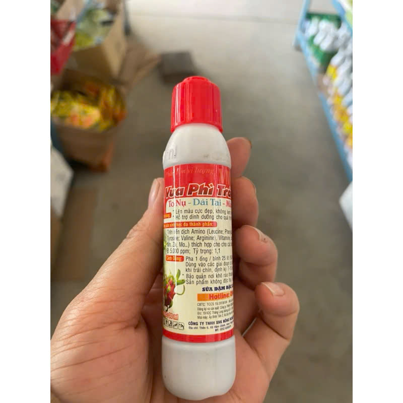 Vua phì trái, to nụ, dài tai, màu mận đẹp trái Thanh Long - Phân bón chuyên Thanh Long