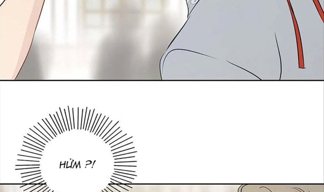 chuyện quái gì với giấc mơ đó vậy chapter 33 156