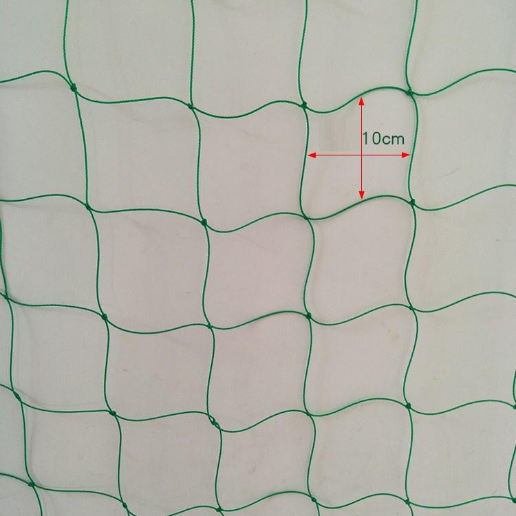 Lưới Làm Giàn Leo - Lưới Làm Giàn Cây - Khổ 2 mét