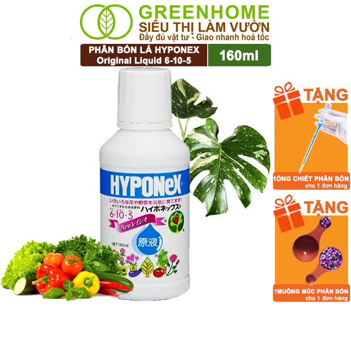 Phân Bón Lá Greenhome Hyponex, Original Liquid 6-10-5, 160ml, Cây Dễ Hấp Thụ, á Tốt Lá Cực Nhanh, Tạo Mầm Kích Nãy Chồi