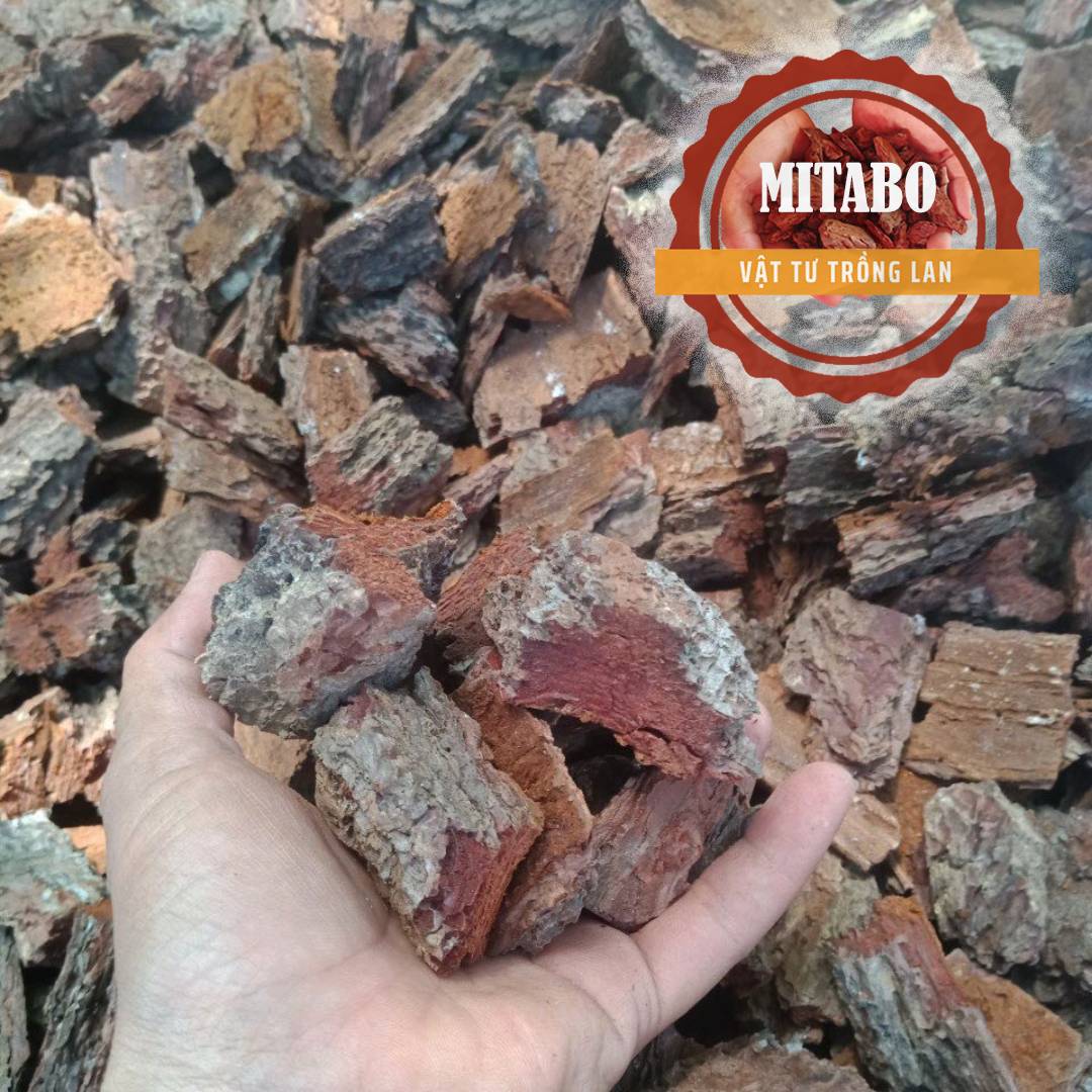 Vỏ thông băm 3-4cm