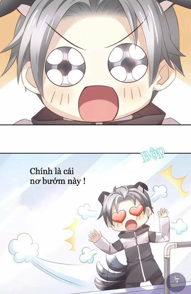 dưới móng vuốt mèo chapter 17 71