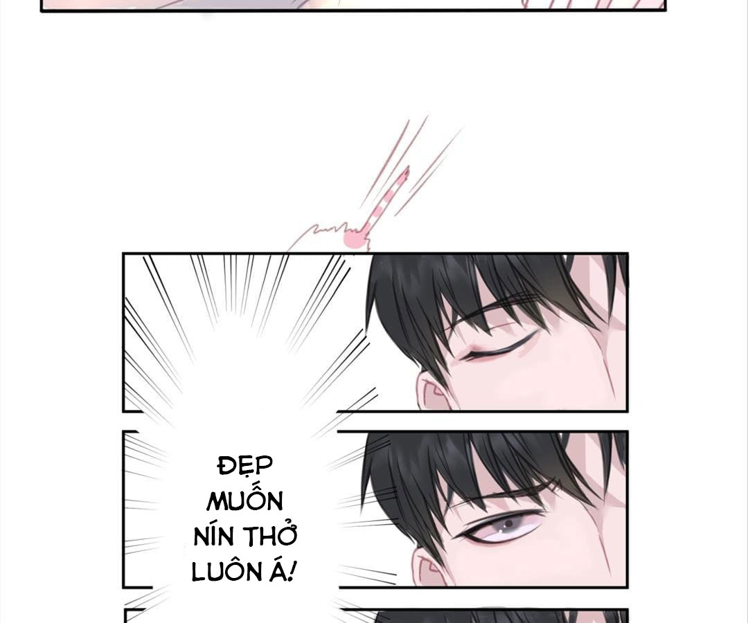 social cat chapter 1 42