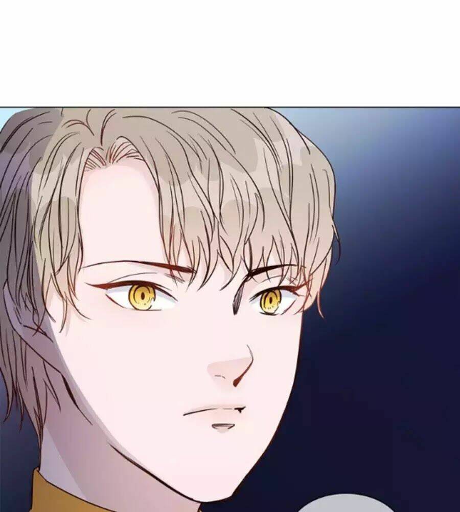 ngôi sao vụn vỡ chapter 43 31