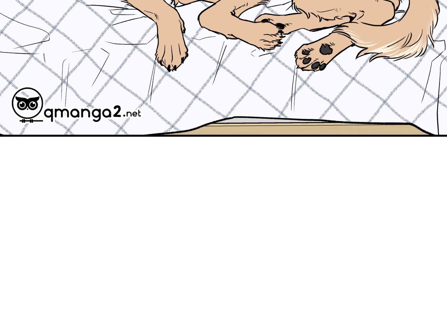 gâu gâu! chapter 49 57