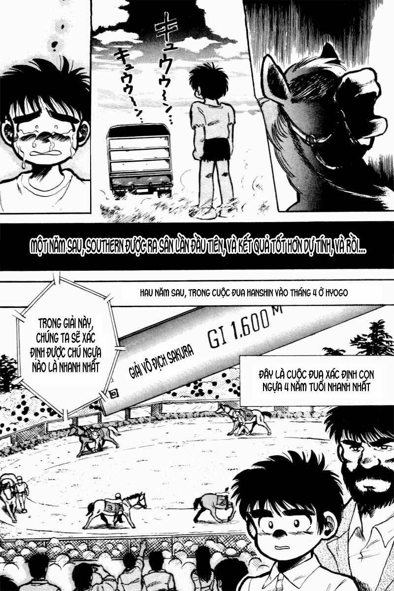 kaze no sylphid - phong mã silphid chapter 1 30