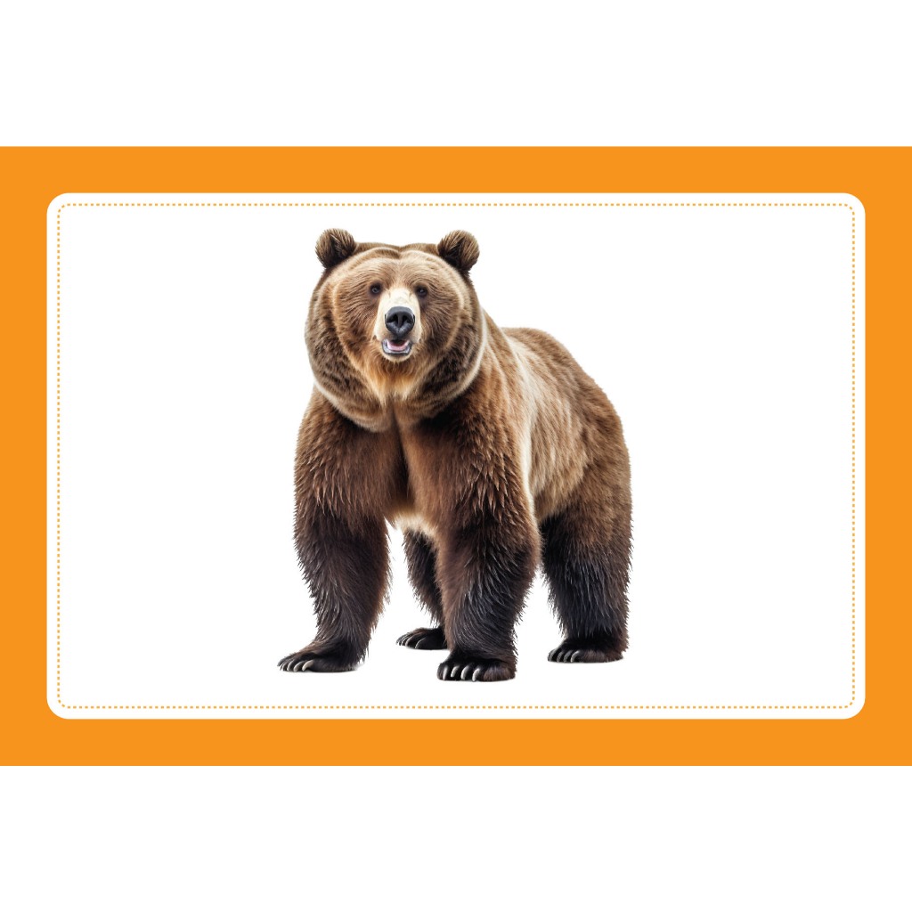 Bộ Thẻ Học Thông Minh Cho Bé - Flashcard Song Ngữ Việt - Anh - Động vật hoang dã - Wild Animals - Khổ 10x15cm - Trí Việt