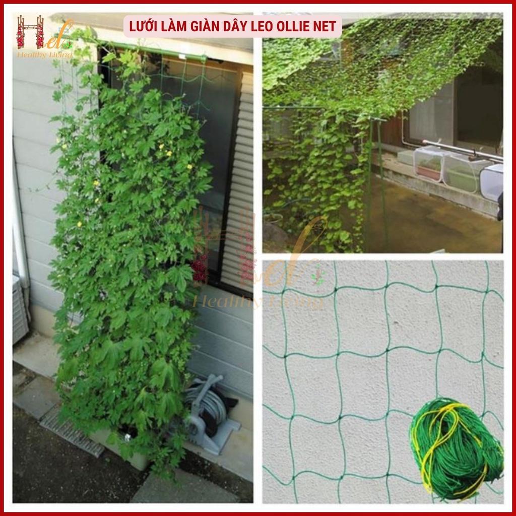 Lưới Làm Giàn Dây Leo Lưới Làm Giàn Dưa Leo, Hoa, Đậu Leo, Giàn Cây Bền Chắc