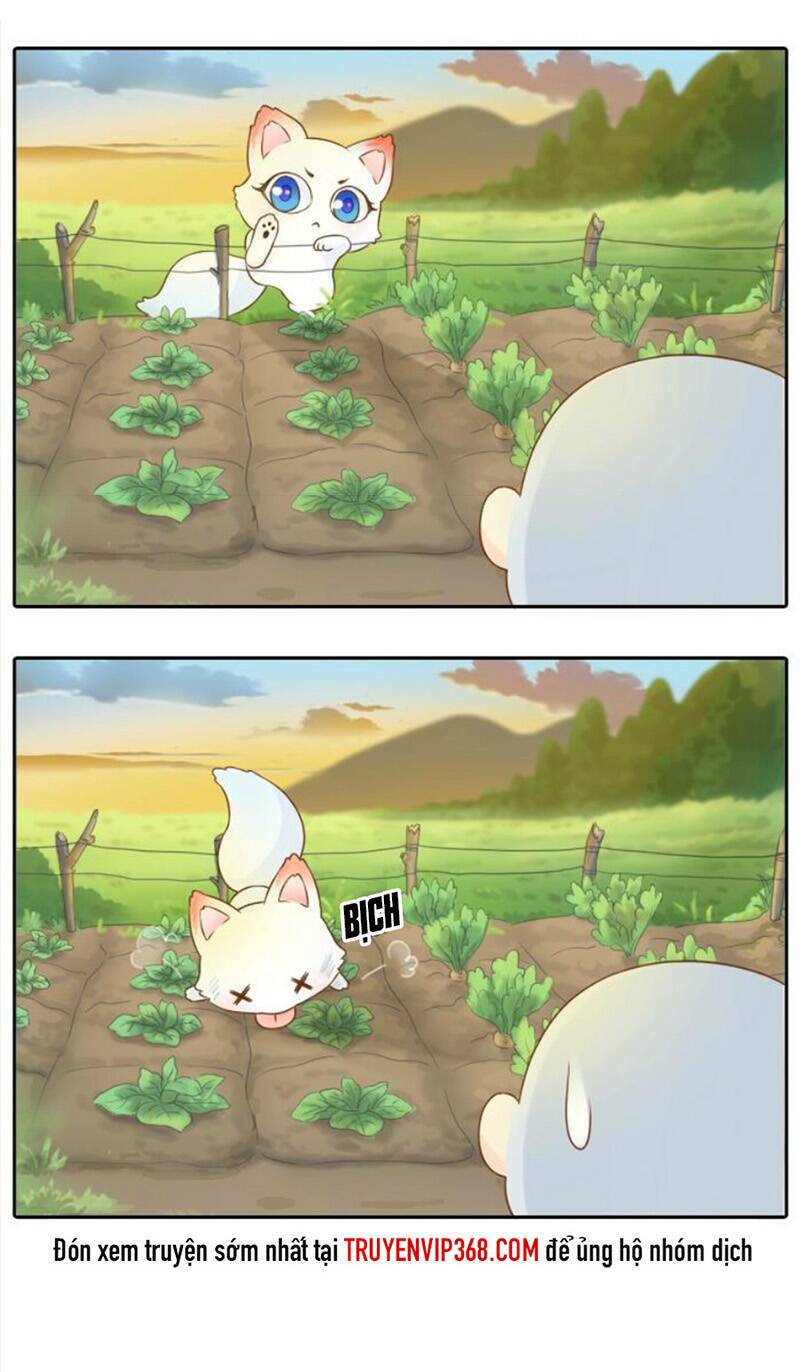 tiểu hoà thượng - chào mừng đến trấn yêu quái chapter 3 7