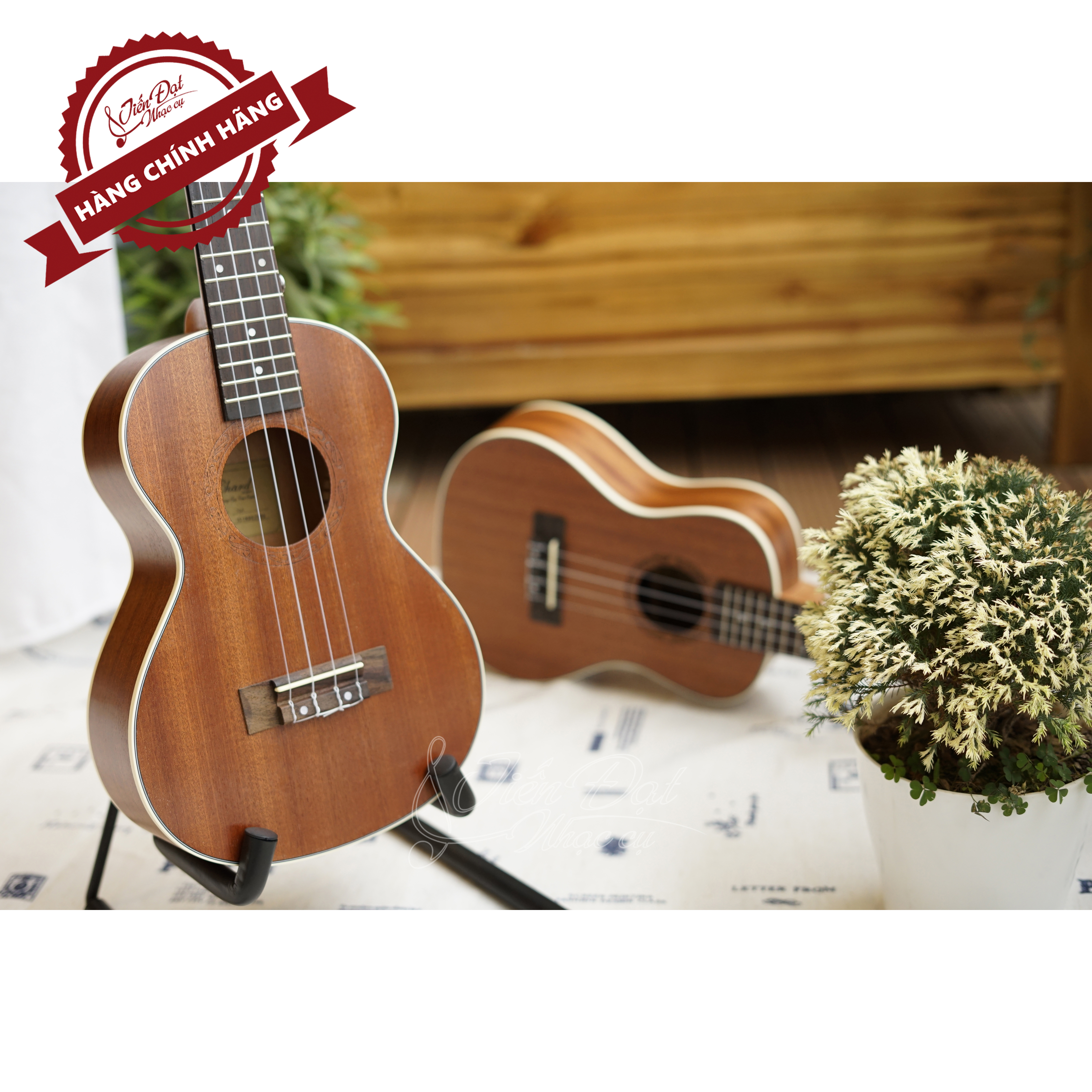 Đàn Ukulele Concert Chard U-24A, Mặt Đàn Gỗ Gụ - Hàng Chính Hãng