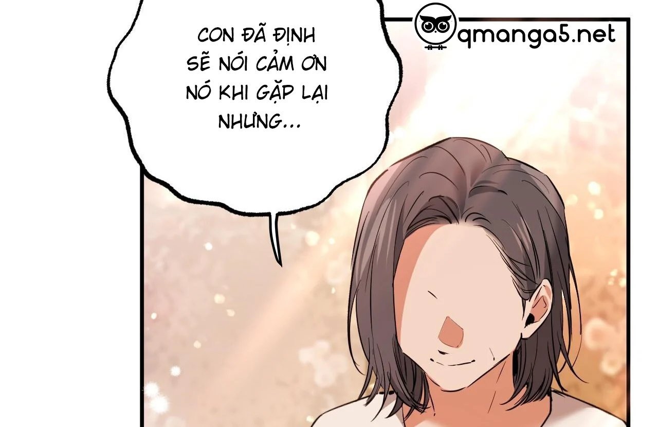 những chú thỏ của hapypy chapter 65 53