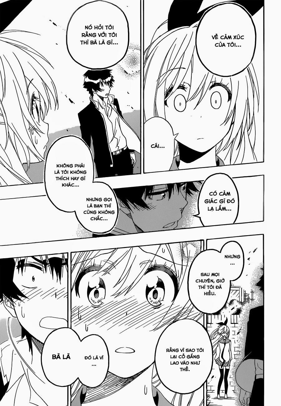 nisekoi - tình yêu giả tạo chapter 162 19