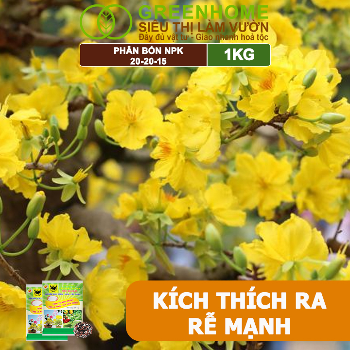 Phân Bón NPK 20-20-15, Greenhome, Đầu Trâu, 1Kg, Chuyên Hoa, Cây Cảnh Giúp Ra Hoa, Hoa Đẹp, Lâu Tàn