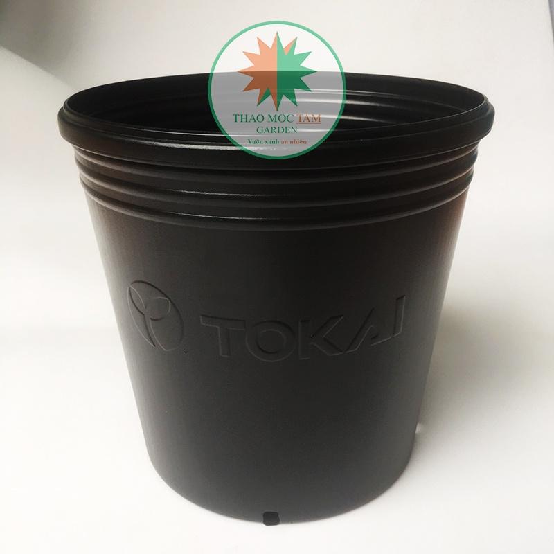 05 Chậu Trồng Cây 30x28cm TOKAI – Chậu to trồng cây chất lượng Nhật