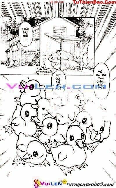 đóa hoa yêu kiều chapter 2 40