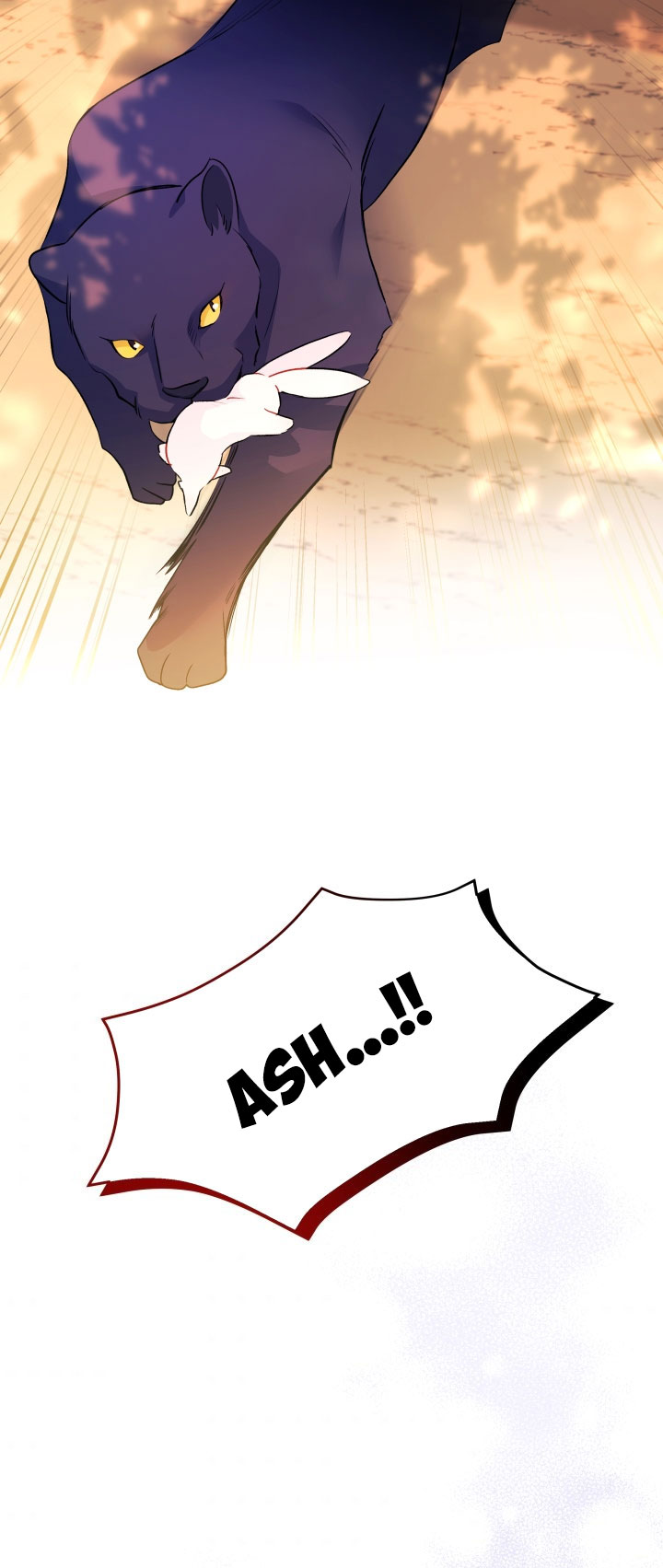 mối liên kết giữa báo đen và bé thỏ chapter 29 35