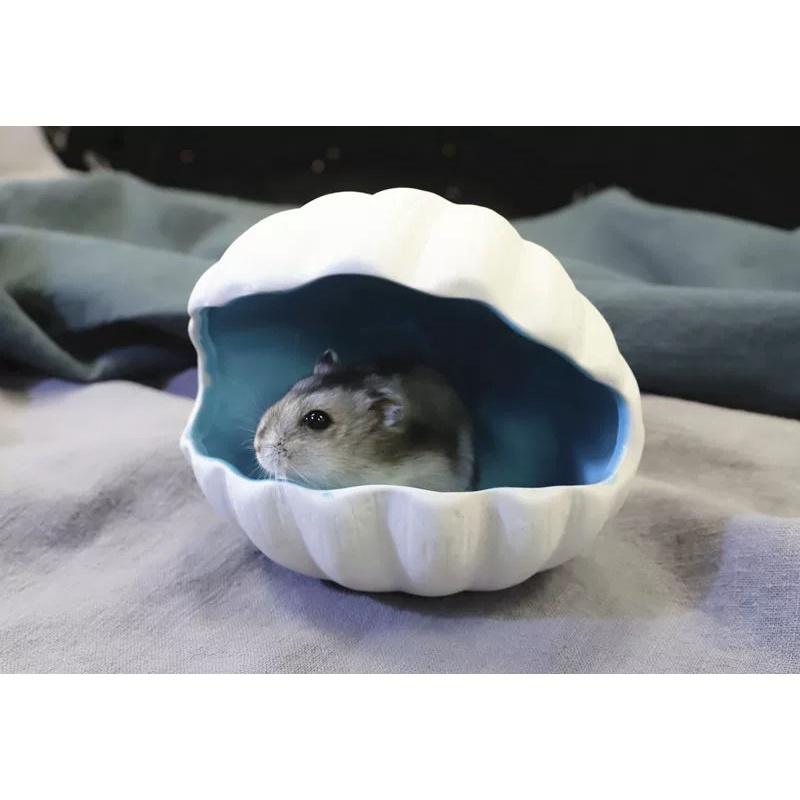 Ngủ sứ sò size nhỏ, to cho hamster, sóc