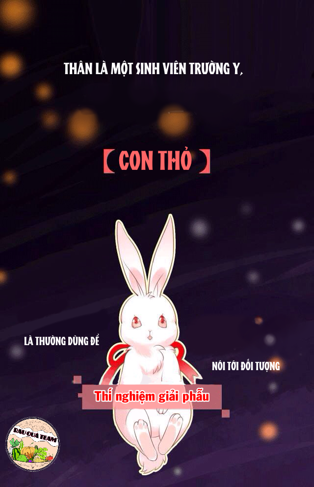 nuôi thỏ? nam chính hắc hóa rồi! chapter 1 1