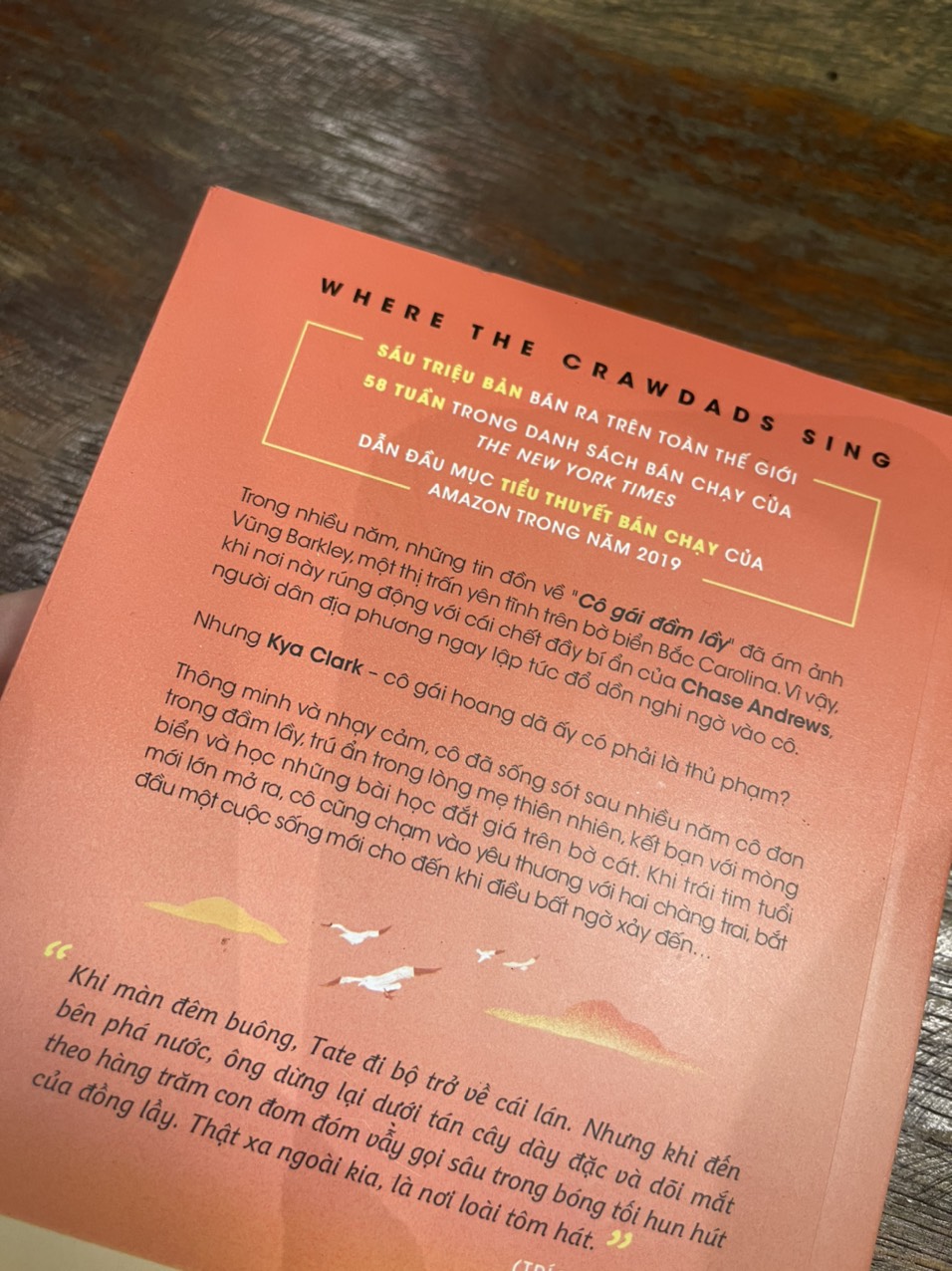 (#1 New Yorrk Time Bestseller) XA NGOÀI KIA NƠI LOÀI TÔM HÁT - Delia Owens - Trương Hoàng Uyên Phương dịch – Nxb Trẻ - bìa mềm