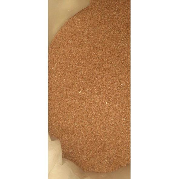 50 gram hạt giống bạch đàn trắng