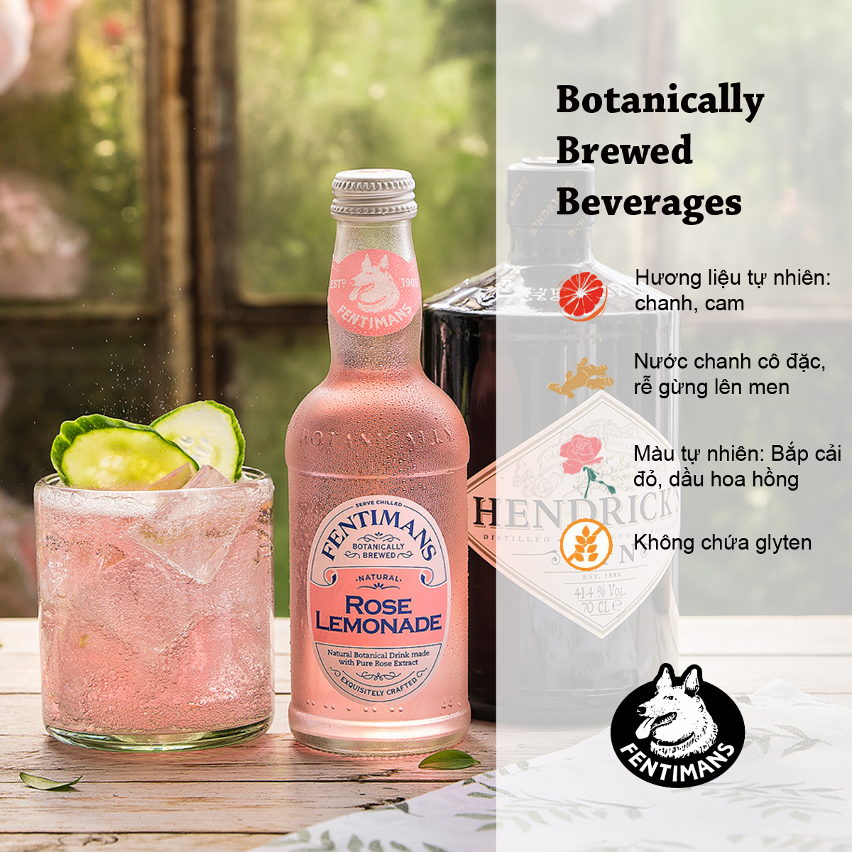 Fentimans Tonic Soda Chanh Vị Hoa Hồng Rose Lemonade Anh Quốc