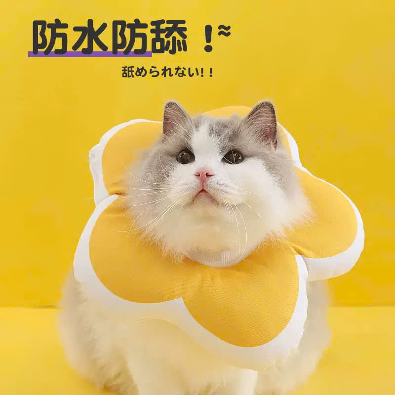 VÒNG CỔ THÚ CƯNG VÒNG CỔ LOA CHỐNG LIẾM CHO THỎ CHÓ MÈO BÔNG HOA DỄ THƯƠNG TỪ 0.5-5.5KG MÃ 10 CHO CHÓ MÈO THỎ