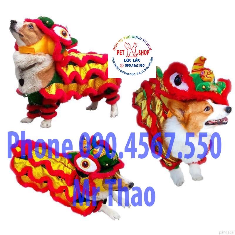 Áo quần con Lân cho Chó Mèo , Quần Áo Chó Mèo có Size 5XL cho Pet Khổng Lồ.