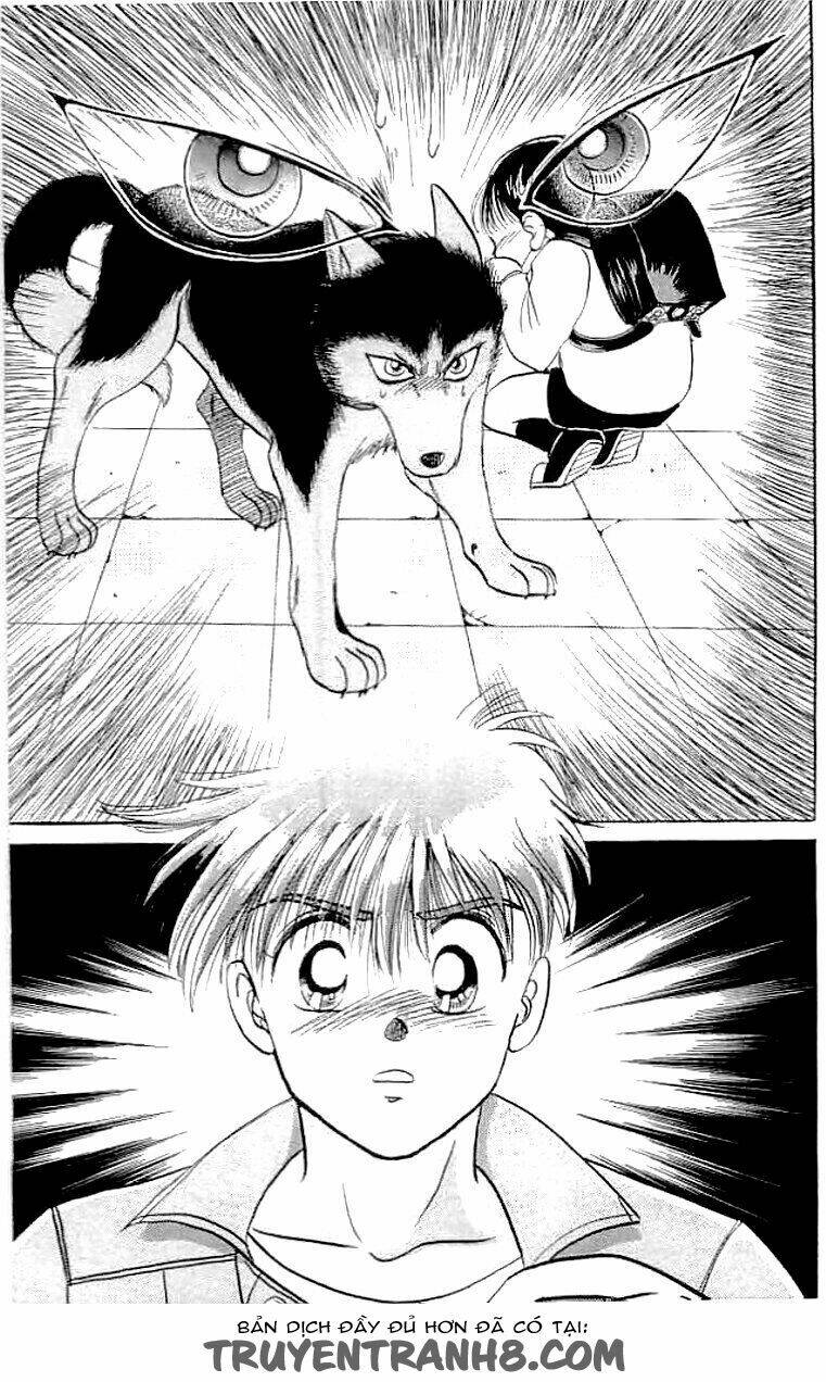 wild half chapter 4 19