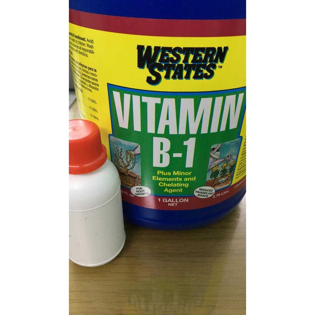 Phân Bón Vitamin B1 Mỹ nhập khẩu lọ 100ml